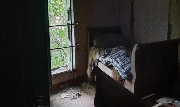 Maison Greiveldinger: Een Verdwenen Plek in het Hart van de Ardennen