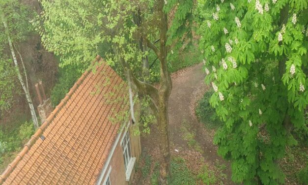 Villa bij Ham – Verstopte Rust in het Groen