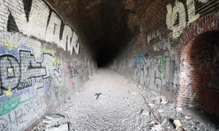 Luizenthal Spoortunnel: Een Vergeten Poort naar het Verleden