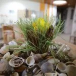 Wellness | Thermaalbad