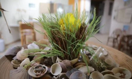 Wellness | Thermaalbad