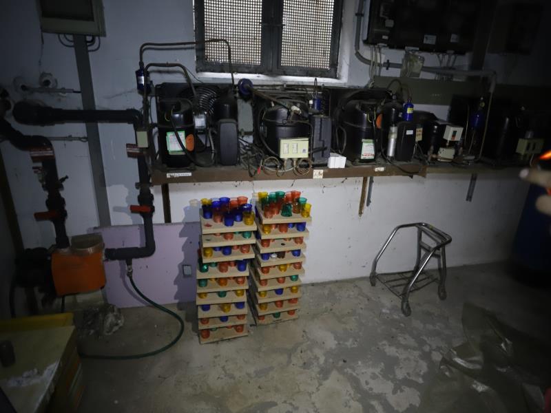Wellness | Basement