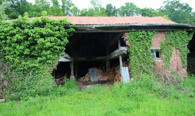 Schijn bedriegt: een schuur tussen vergetelheid en gebruik