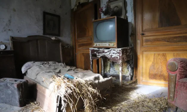 Het Huis van Stro en Stilte – Een Bevroren Moment in de Tijd