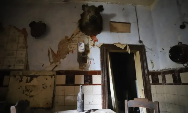 Het Huis van Stro en Stilte – Een Bevroren Moment in de Tijd