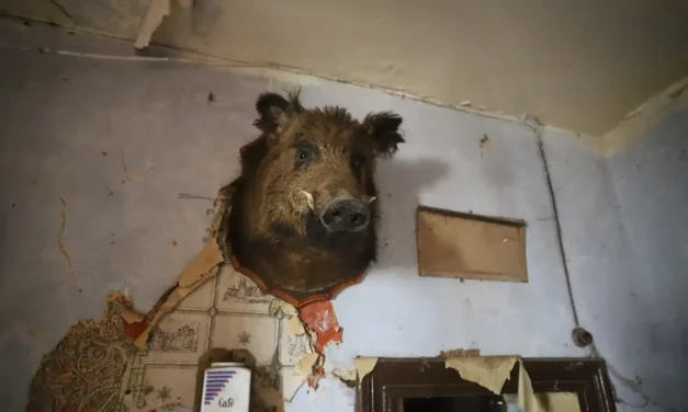 Het Huis van Stro en Stilte – Een Bevroren Moment in de Tijd