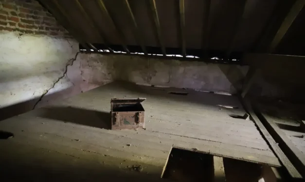 Het Huis van Stro en Stilte – Een Bevroren Moment in de Tijd