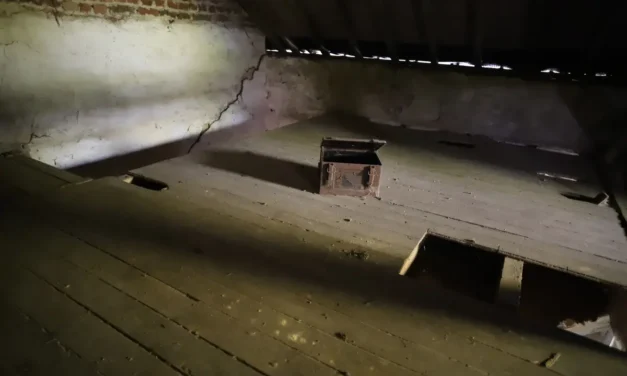 Het Huis van Stro en Stilte – Een Bevroren Moment in de Tijd